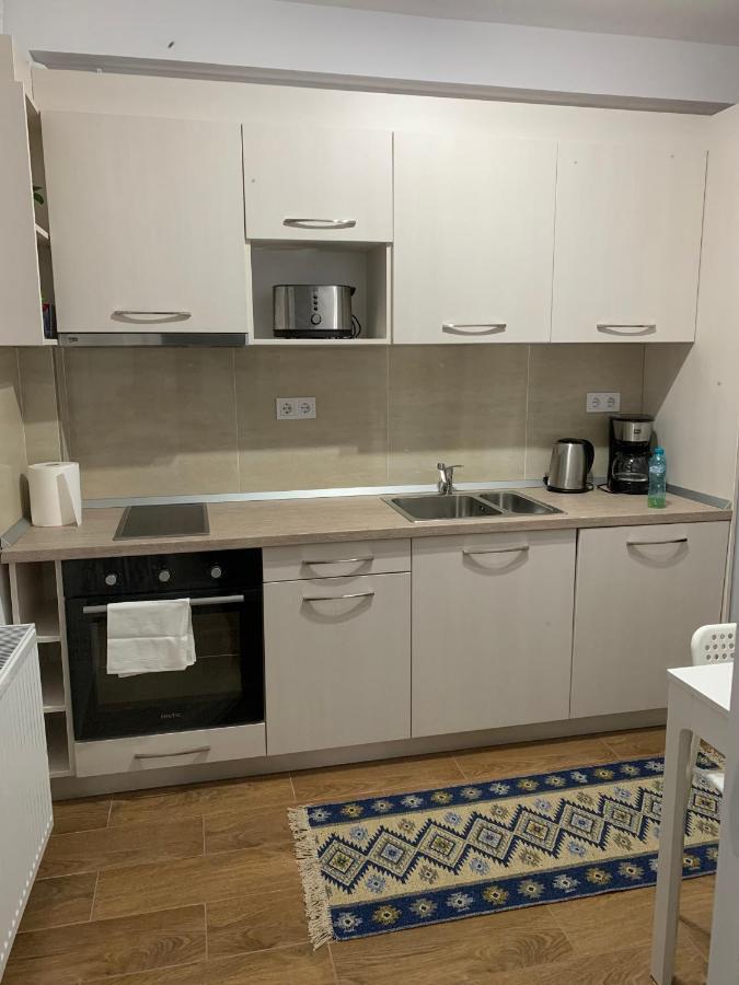 Welcoming Gemini Apartment 1 Sibiu Dış mekan fotoğraf